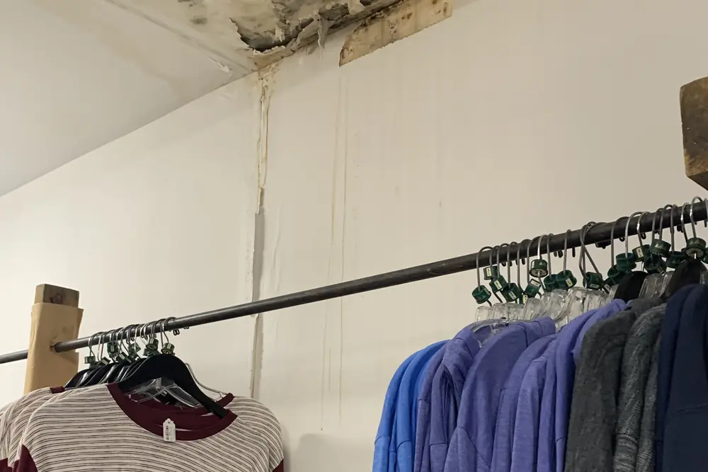 Dark mold stain spreading across a water-damaged ceiling