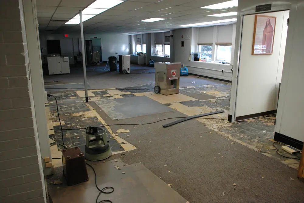 Dehumidifiers and air movers drying a water-damaged room